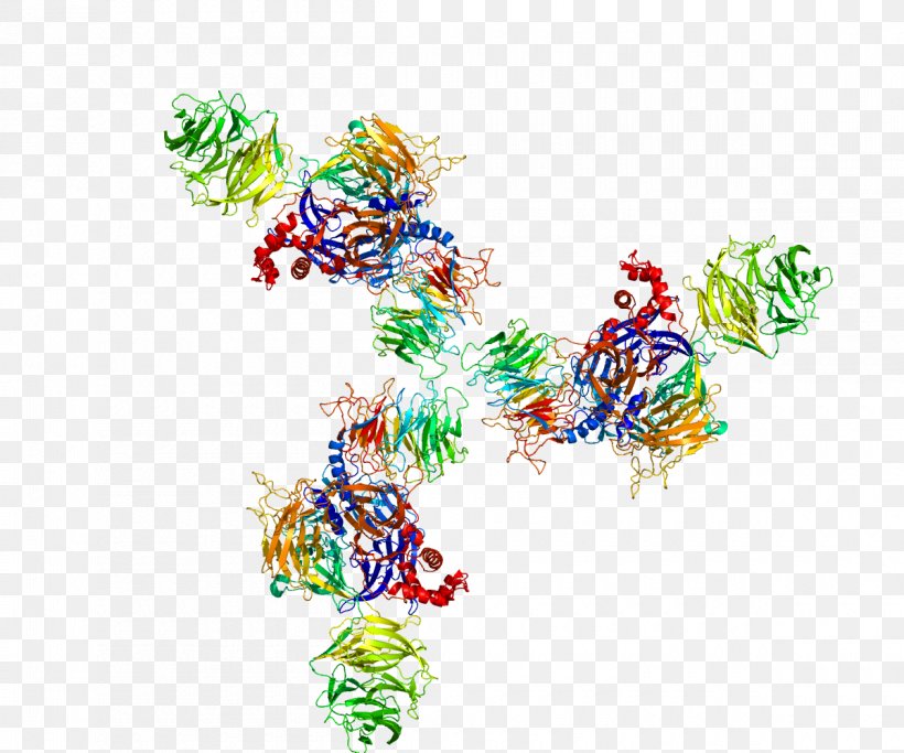 DDB2 DNA-binding Protein DNA-binding Domain, PNG, 1200x1000px, Ddb2, Amino Acid, Dna, Dnabinding Domain, Dnabinding Protein Download Free