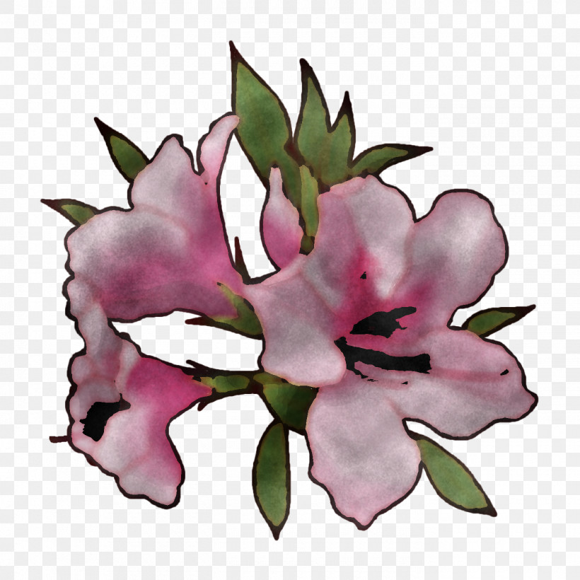 Floral Design, PNG, 1400x1400px, Flower, Azalea, Carnation, Cartoon, Floral Design Download Free