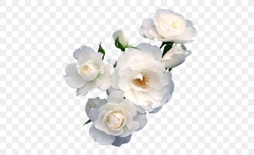 Flower Paper Rose Floristry Polyvore, PNG, 500x500px, Flower, Artificial Flower, Color, Cut Flowers, Floral Design Download Free