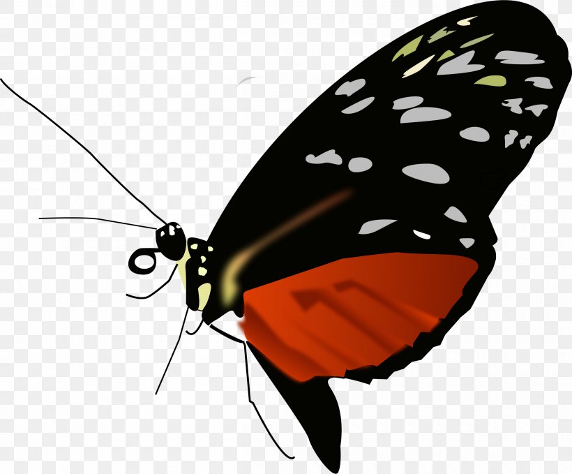 Monarch Butterfly Clip Art, PNG, 2400x1990px, Butterfly, Animal, Arthropod, Brush Footed Butterfly, Drawing Download Free