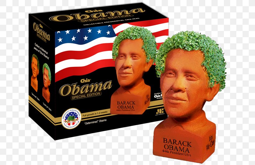 Barack Obama Chia Pet Mitt Romney Chia Seed, PNG, 636x533px, Barack Obama, Chia, Chia Pet, Chia Seed, Dog Download Free