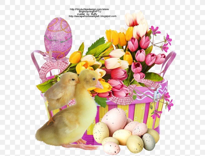 Easter Bunny Login Email, PNG, 625x625px, Easter Bunny, Blog, Cut Flowers, Easter, Email Download Free