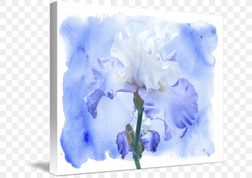 Watercolor Painting, PNG, 650x579px, Watercolor Painting, Blue, Flower, Flowering Plant, Iris Download Free