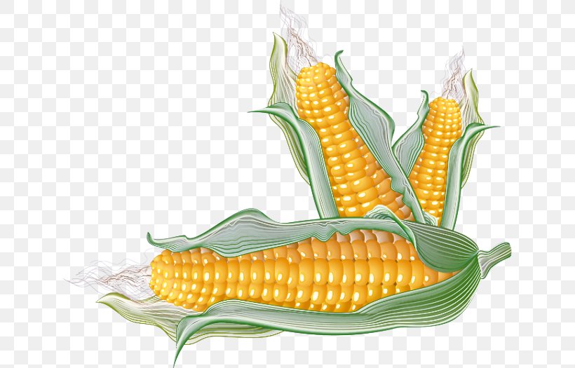 Corn Corn Kernels Corn On The Cob Sweet Corn Vegetable, PNG, 640x525px, Corn, Corn Kernels, Corn On The Cob, Cuisine, Food Download Free