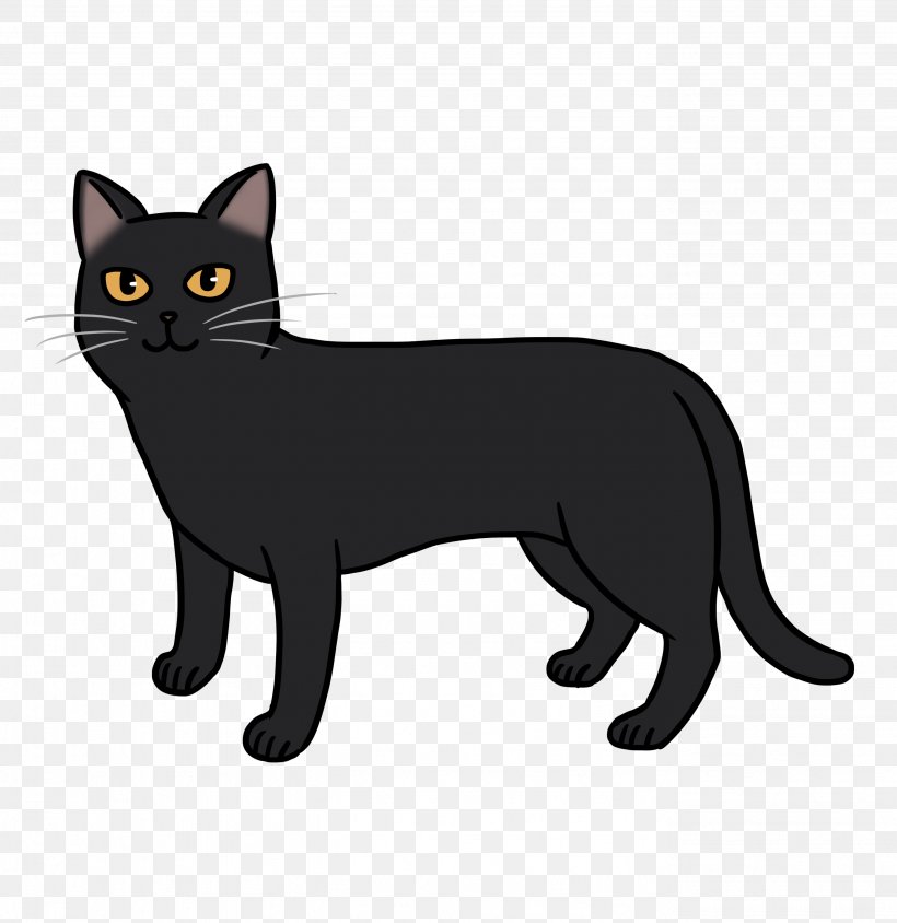 Manx Cat American Wirehair Korat Black Cat Kitten, PNG, 2756x2839px, Manx Cat, American Wirehair, Asia, Asian, Black Download Free