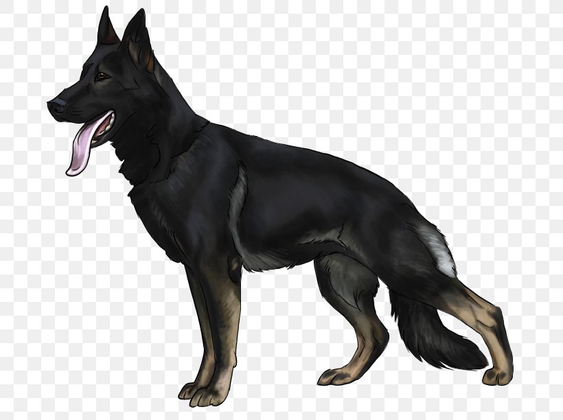 Old German Shepherd Dog East-European Shepherd Belgian Shepherd Tervuren King Shepherd, PNG, 697x612px, Old German Shepherd Dog, Australian Kelpie, Belgian Shepherd, Breed, Carnivoran Download Free