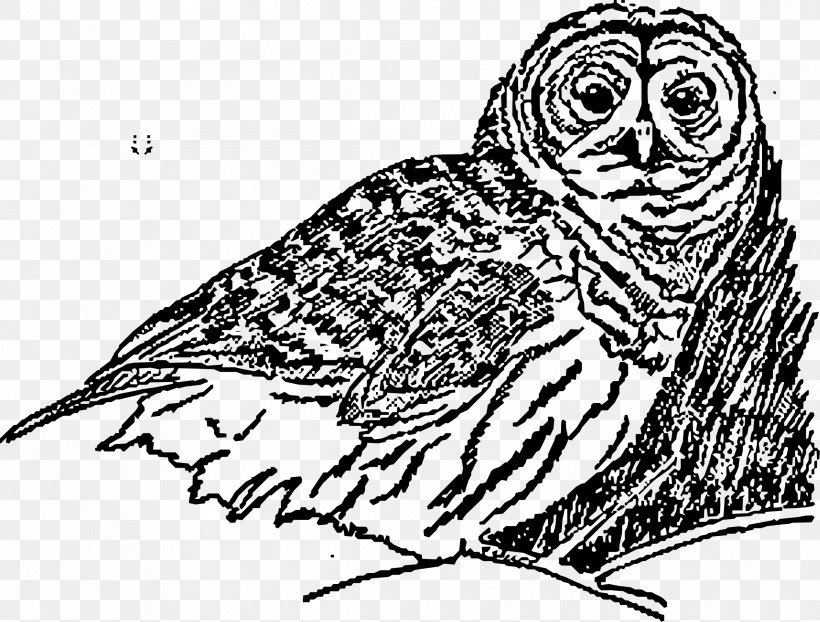 Owl Line Art Drawing Clip Art, PNG, 2390x1815px, Owl, Art, Beak, Bird, Bird Of Prey Download Free