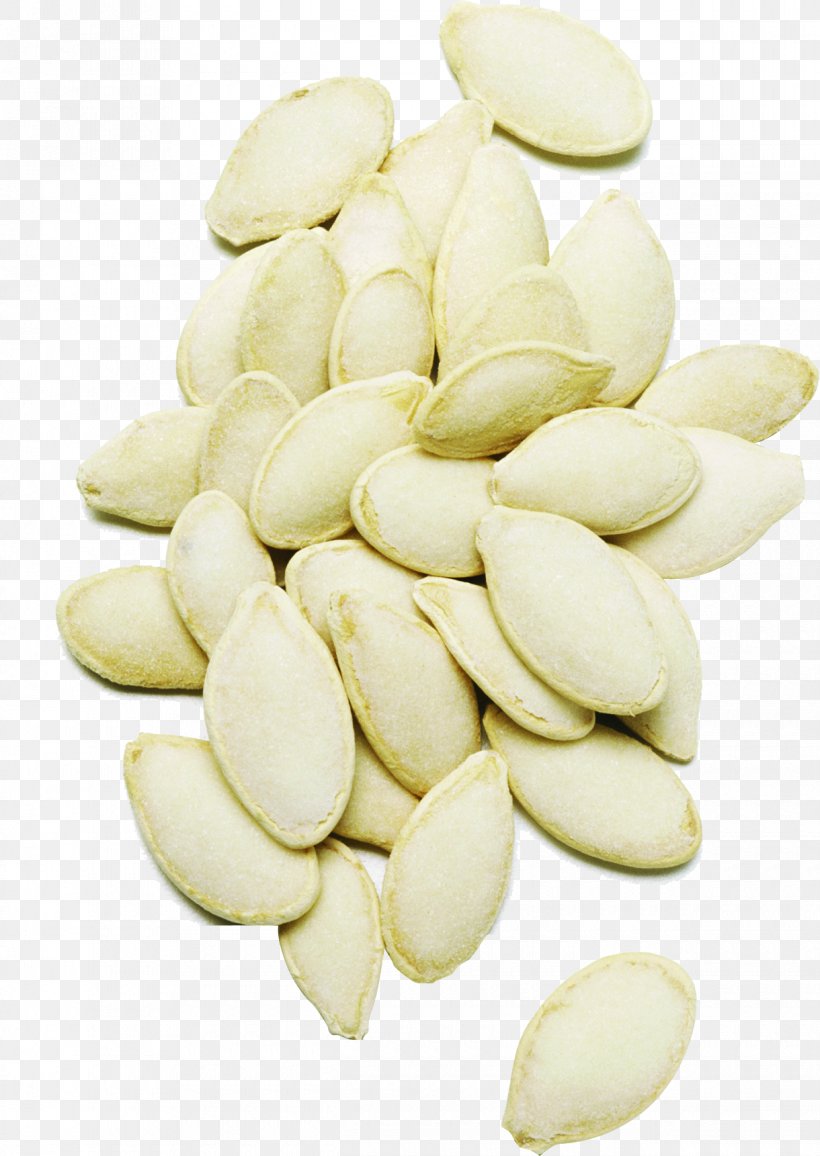 Pumpkin Seed Veggie Burger Cucurbita, PNG, 1220x1721px, Pumpkin Seed, Bitter Bean, Commodity, Cucumber, Cucurbita Download Free