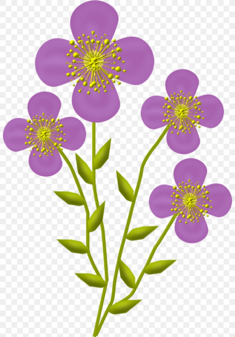 Cut Flowers Petal, PNG, 800x1172px, Flower, Blume, Color, Cut Flowers, Drawing Download Free