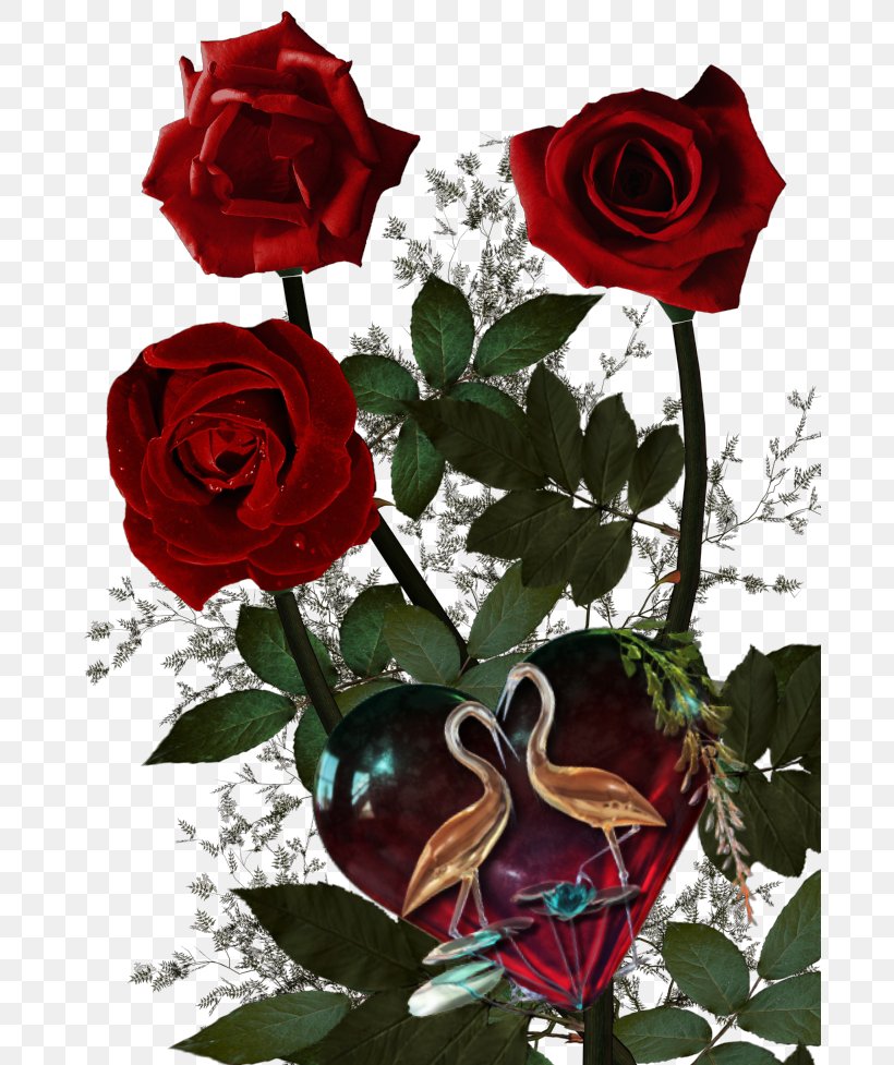 Garden Roses Flower Roses, Girona, PNG, 687x977px, Garden Roses, Cut Flowers, Digital Image, Floral Design, Floribunda Download Free