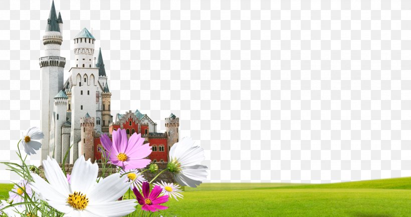 Mystery Castle Template Fundal, PNG, 2069x1096px, Template, Castle, Coreldraw, Cut Flowers, Flora Download Free