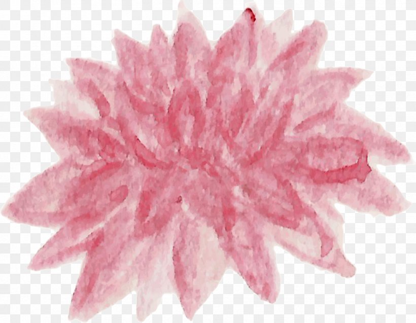 Petal Cut Flowers Pink M Dahlia Chrysanthemum, PNG, 1749x1359px, Petal, Chrysanthemum, Chrysanths, Cut Flowers, Dahlia Download Free