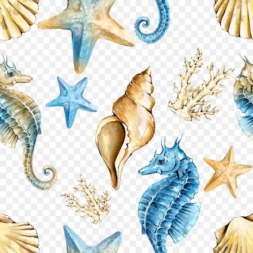 Seahorse Shellfish, PNG, 1800x1800px, Seahorse, Blue, Ifwe, Organism, Raster Graphics Download Free