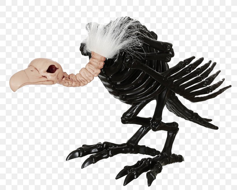 Skeleton Bearded Vulture Skull Bone, PNG, 800x657px, Skeleton, Animal, Animal Figure, Beak, Bearded Vulture Download Free