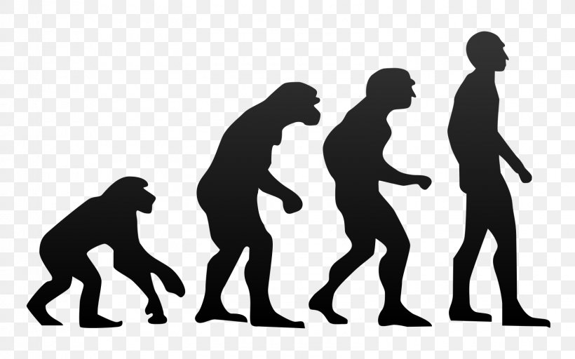 Ape Anatomically Modern Human Primate Human Evolution, PNG, 1600x1000px, Ape, Anatomically Modern Human, Biology, Bipedalism, Charles Darwin Download Free