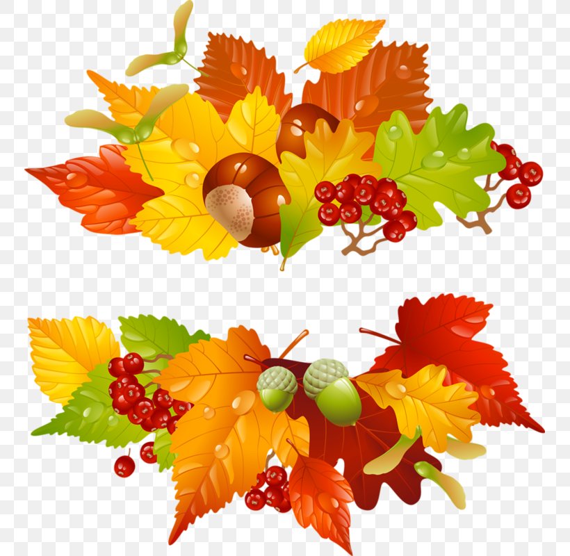 Autumn Clip Art, PNG, 749x800px, Autumn, Autumn Leaf Color, Cut Flowers, Drawing, Floral Design Download Free