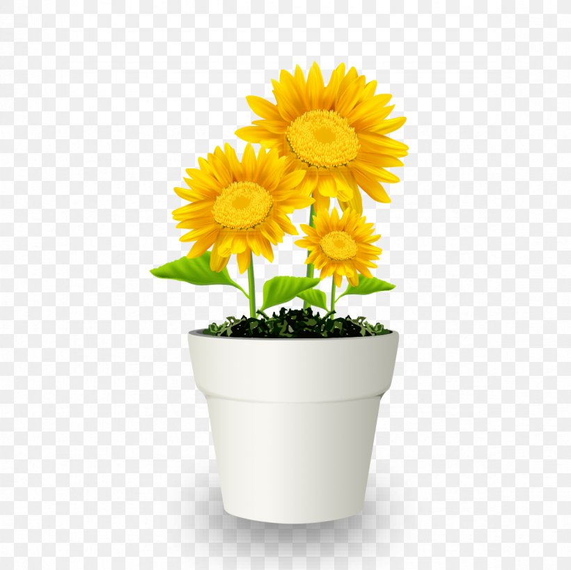 Chrysanthemum Flowerpot Bonsai Transvaal Daisy, PNG, 1181x1181px, Chrysanthemum, Bonsai, Calendula, Chrysanths, Cut Flowers Download Free