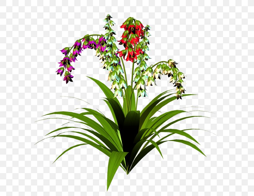 Cut Flowers Clip Art Houseplant Embryophyte, PNG, 600x634px, Flower, Aechmea, Botany, Bromelia, Bromeliads Download Free