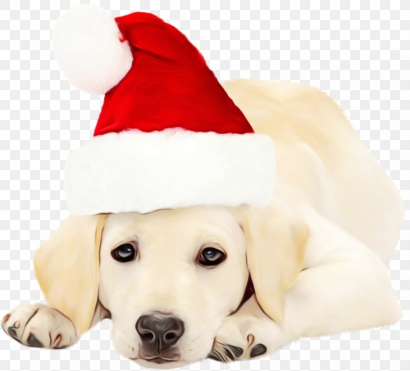 Dog Labrador Retriever Retriever Nose Puppy, PNG, 926x839px, Watercolor, Dog, Labrador Retriever, Nose, Paint Download Free