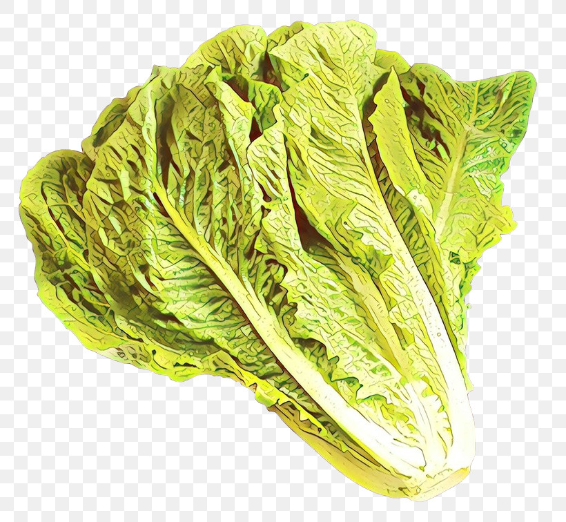 Leaf Vegetable Vegetable Romaine Lettuce Lettuce Cabbage, PNG, 800x756px, Leaf Vegetable, Cabbage, Chard, Food, Leaf Download Free