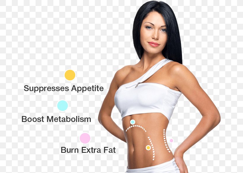 Dietary Supplement Garcinia Cambogia Weight Loss Extract, PNG, 677x583px, Watercolor, Cartoon, Flower, Frame, Heart Download Free