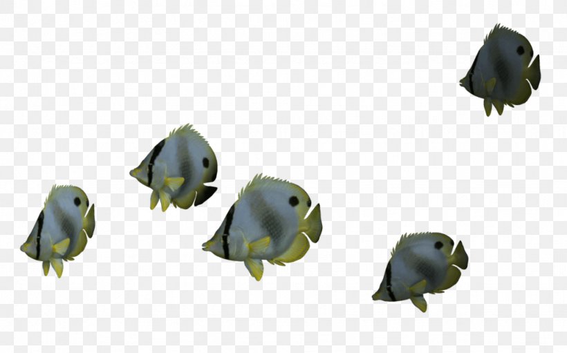 Saltwater Fish Clip Art, PNG, 1024x639px, Saltwater Fish, Animation, Fish, Image File Formats, Information Download Free