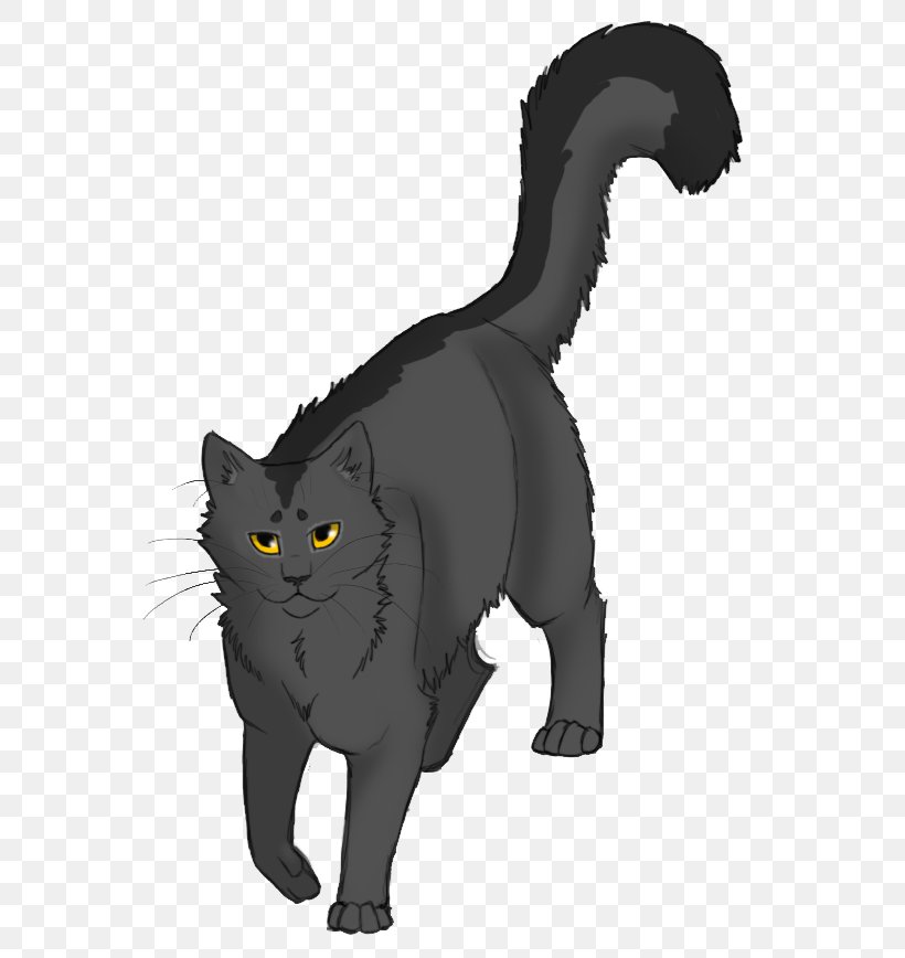 The Fourth Apprentice Into The Wild Warriors Graystripe Firestar, PNG, 582x868px, Fourth Apprentice, Ashfoot, Black And White, Black Cat, Blossomfall Download Free