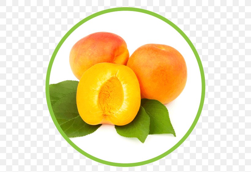 Juice Apricot Vegetarian Cuisine Fruit Food, PNG, 562x562px, Juice, Apricot, Diet Food, Flavor, Food Download Free