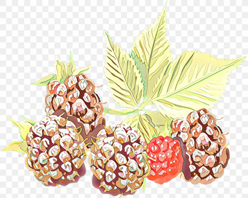 Pineapple, PNG, 1491x1190px, Natural Foods, Accessory Fruit, Berry, Food, Fruit Download Free
