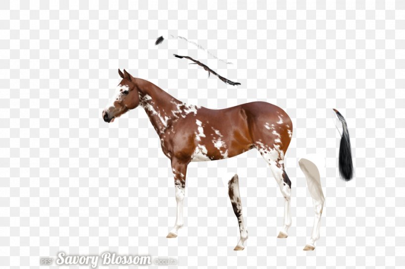 Stallion Mustang Foal Mare Colt, PNG, 960x640px, Stallion, Animal Figure, Bridle, Colt, Foal Download Free