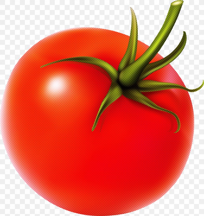Tomato, PNG, 2073x2196px, Natural Foods, Bush Tomato, Food, Fruit, Plant Download Free