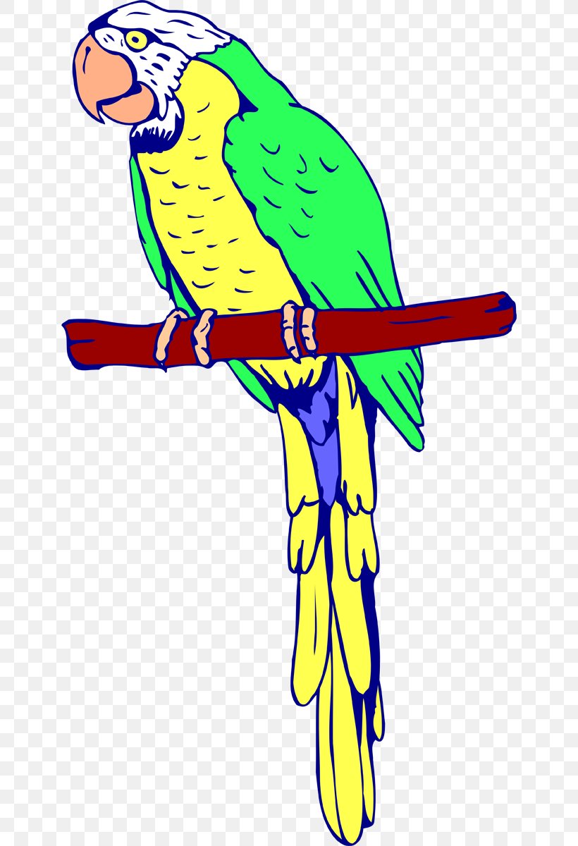 Amazon Parrot Bird Coloring Book Macaw, PNG, 646x1200px, Parrot, Adult, Amazon Parrot, Animal, Animal Figure Download Free