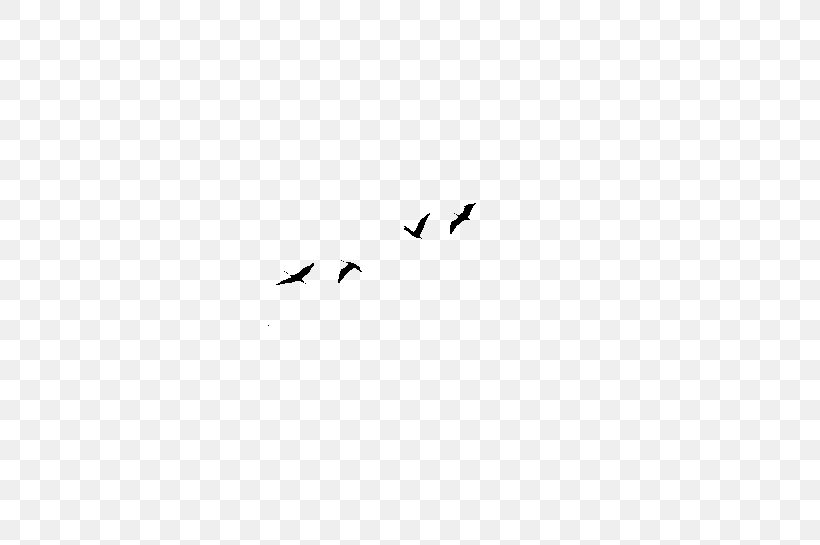 Bird Beak Animal Sky Plc Font, PNG, 700x545px, Bird, Animal, Beak, Black, Black And White Download Free