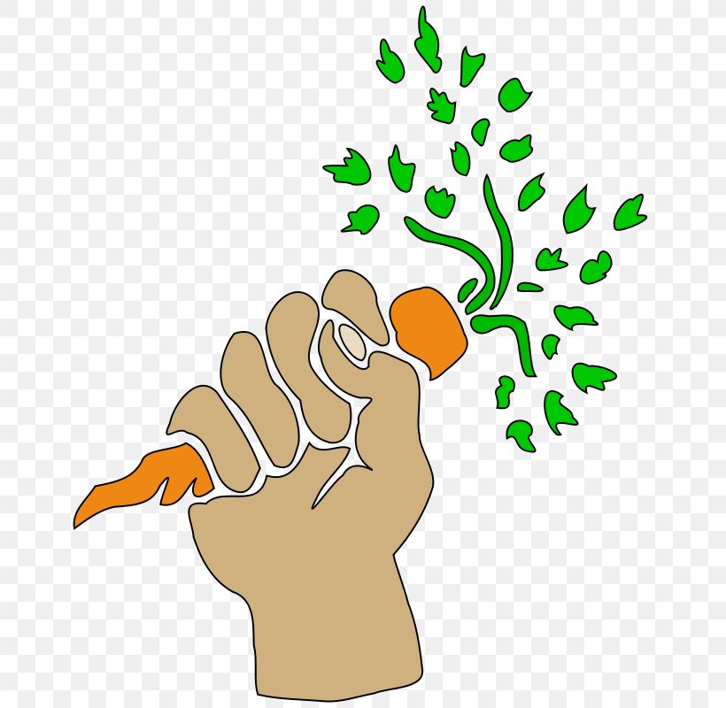 Carrot Hand Clip Art, PNG, 665x800px, Carrot, Area, Artwork, Drawing, Finger Download Free