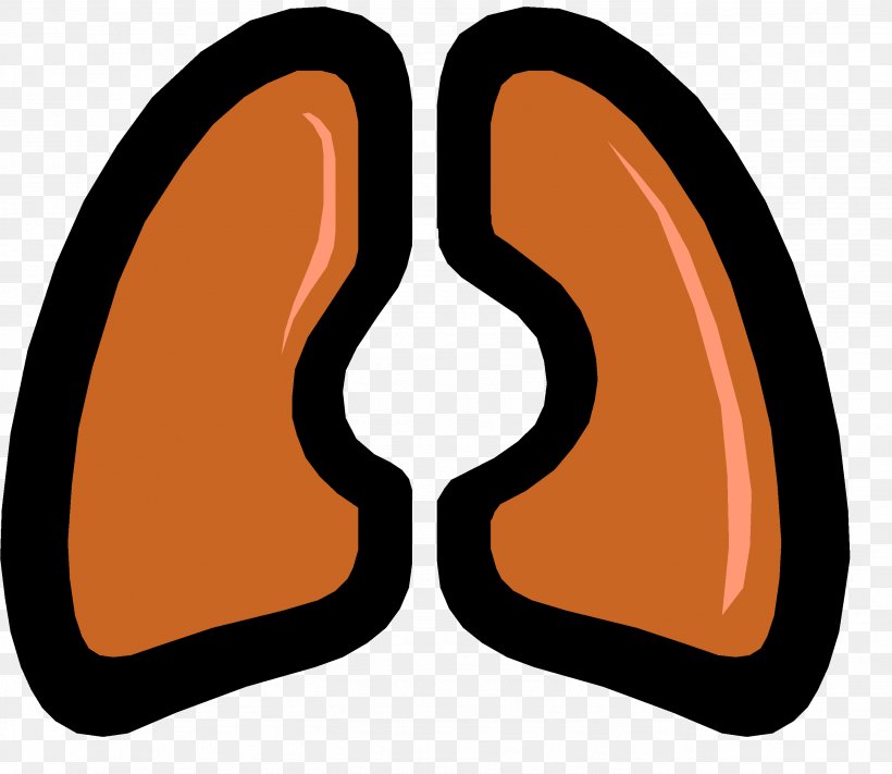 Lung Idiopathic Pulmonary Fibrosis Respiratory System Respiratory Disease Chronic Obstructive Pulmonary Disease, PNG, 2754x2389px, Lung, Cardiovascular Disease, Circulatory System, Disease, Dyspnea Download Free