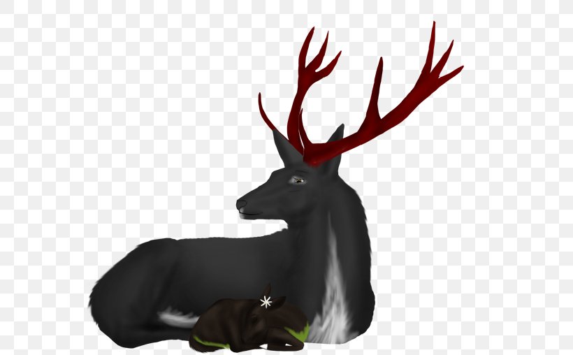 Reindeer Antler Wildlife, PNG, 700x508px, Reindeer, Antler, Deer, Horn, Wildlife Download Free
