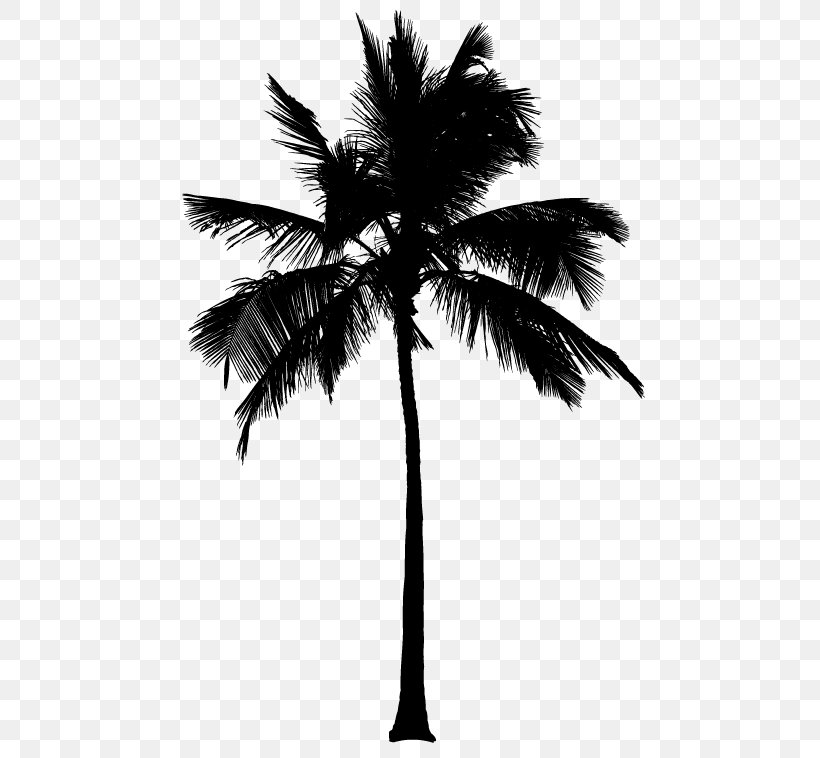 Asian Palmyra Palm Silhouette Arecaceae Coconut, PNG, 484x758px, Asian Palmyra Palm, Arecaceae, Arecales, Black And White, Borassus Download Free