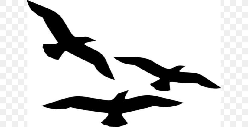 Bird Flight Silhouette Clip Art, PNG, 640x420px, Bird, Art, Artwork, Beak, Bird Flight Download Free
