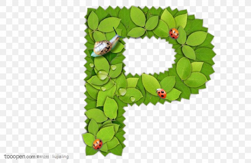 Letter P Clip Art, PNG, 1024x666px, Letter, Dots Per Inch, English Alphabet, Flowering Plant, Fundal Download Free