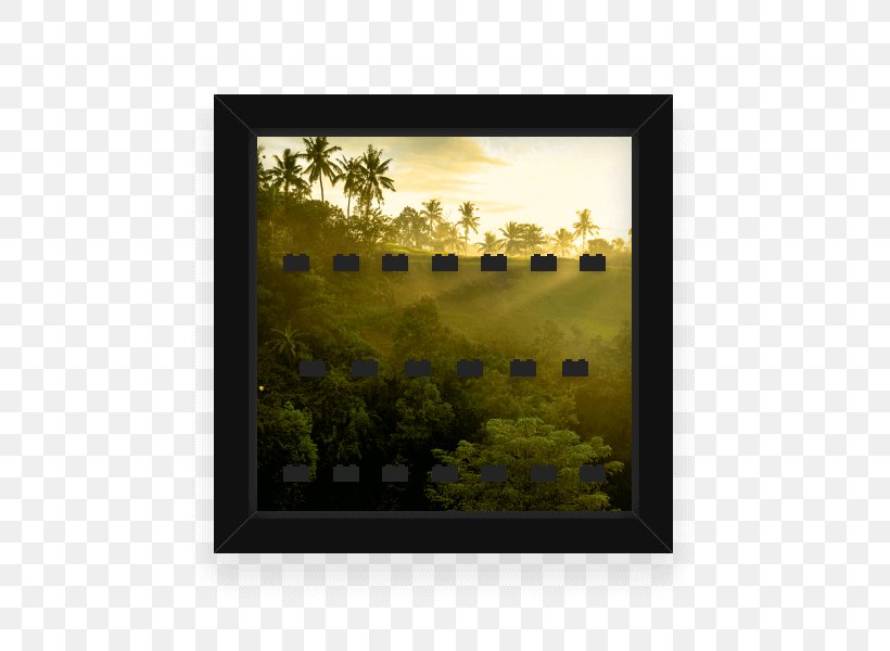 Rectangle Picture Frames Stock Photography Square, PNG, 600x600px, Rectangle, Flower, Landscape, Meter, Photography Download Free