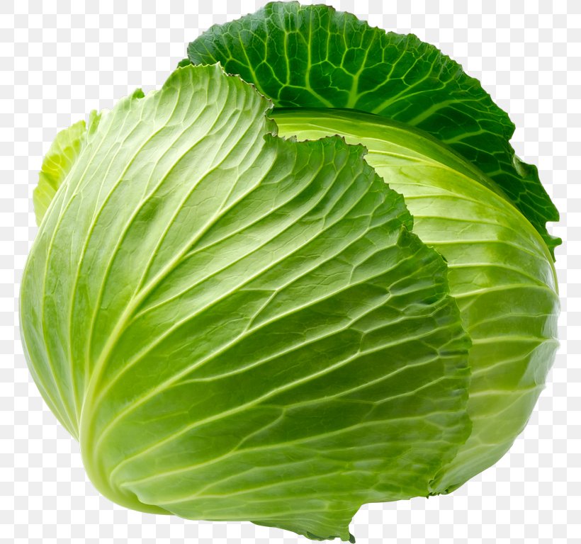 Savoy Cabbage Leaf Vegetable, PNG, 768x768px, Cabbage, Brassica Oleracea, Broccoli, Cauliflower, Chinese Cabbage Download Free