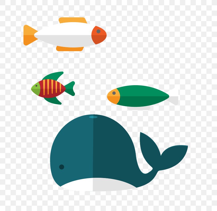 Whale Aquatic Animal Clip Art, PNG, 800x800px, Whale, Aquatic Animal, Blue Whale, Combination, Element Download Free