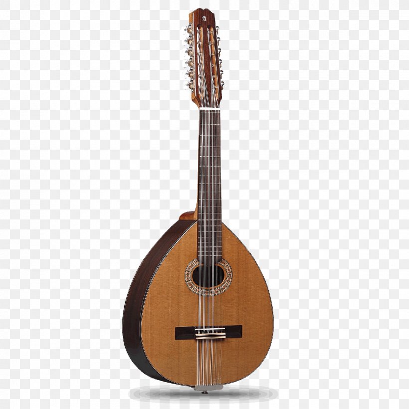 Alhambra Union Rugby Football Club Bandurria Guitar Lute, PNG, 1200x1200px, Alhambra, Acoustic Electric Guitar, Acoustic Guitar, Bandurria, Banjo Download Free