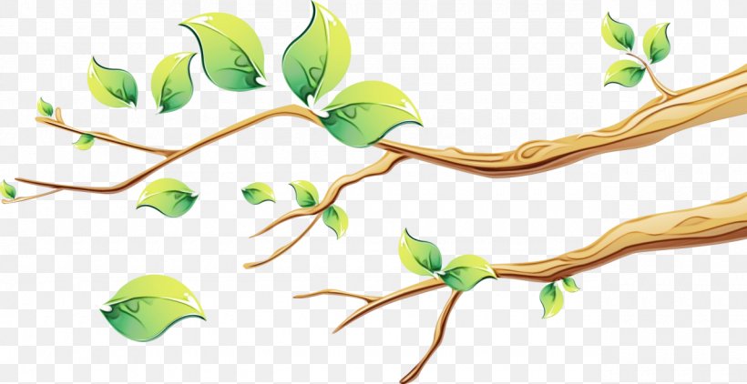Branch Plant Twig Plant Stem Flower, PNG, 1280x660px, Watercolor, Branch, Bud, Flower, Leaf Download Free