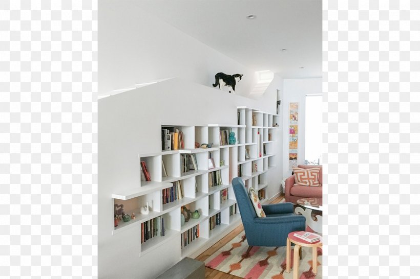 Cat BFDO Architects House Home Pet, PNG, 1024x682px, Cat, Animal Shelter, Apartment, Bfdo Architects, Bookcase Download Free