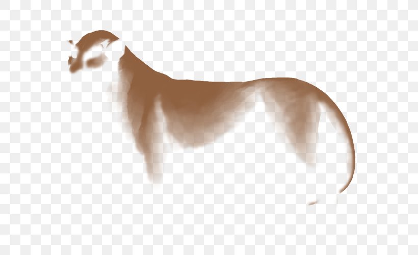 Dog Breed Italian Greyhound Whippet Saluki, PNG, 640x500px, Dog Breed, Azawakh, Borzoi, Breed, Carnivoran Download Free