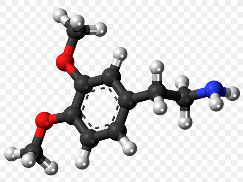Dopamine Receptor Neurotransmitter Norepinephrine Oxidopamine, PNG, 1232x924px, Dopamine, Body Jewelry, Brain, Dopamine Receptor, Dopaminergic Download Free
