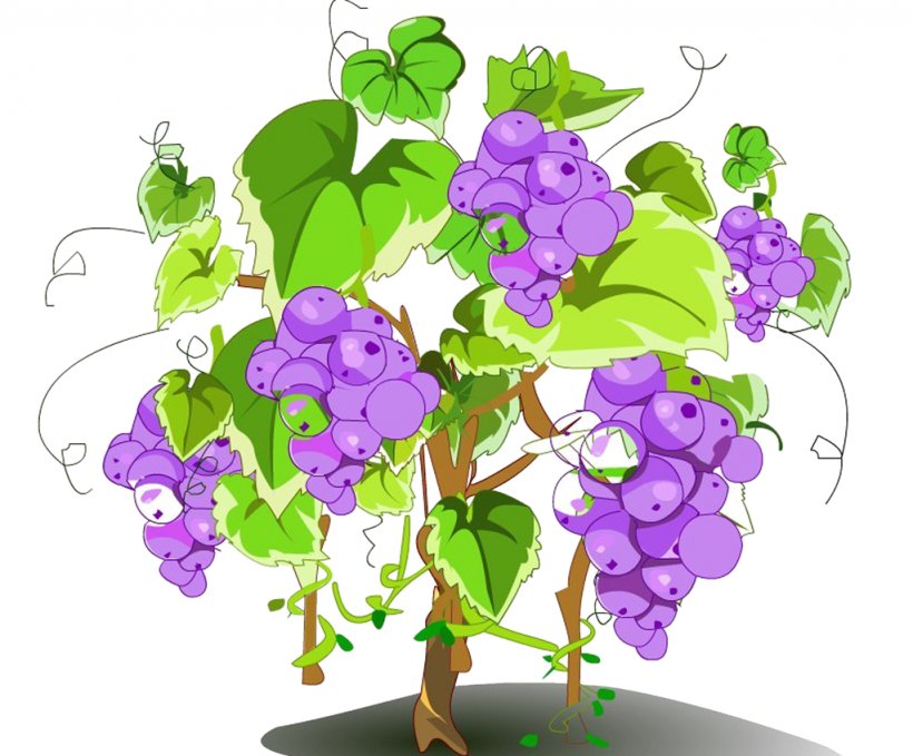 Fruit Tree, PNG, 1024x848px, Tree, Cartoon, Chengyu, Composition, Creativity Download Free