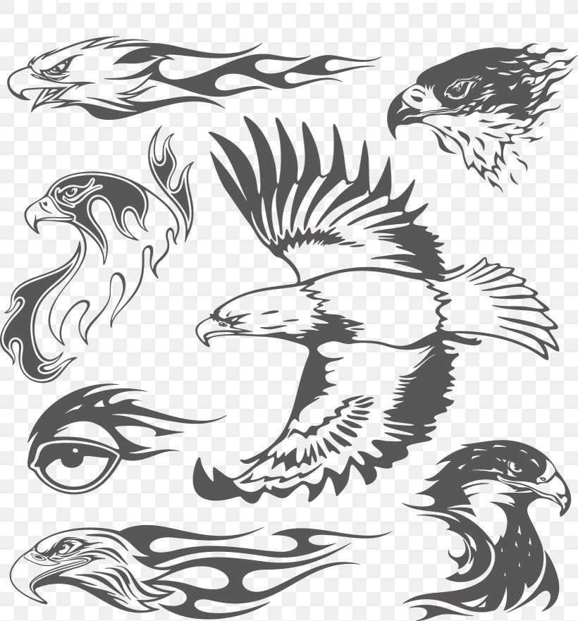 Bald Eagle Illustration, PNG, 1639x1762px, Bald Eagle, Art, Black, Black And White, Decal Download Free