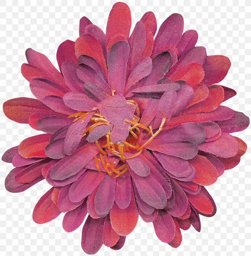 Chrysanthemum Dahlia Cut Flowers Magenta Petal, PNG, 1085x1105px, Chrysanthemum, Chrysanths, Cut Flowers, Dahlia, Daisy Family Download Free